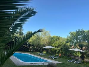 a swimming pool in a yard with chairs and umbrellas at La Casona De Jaraiz in Jaraiz de la Vera