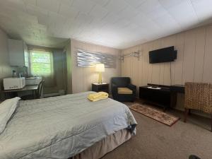 TV a/nebo společenská místnost v ubytování West Wind Motel