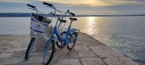 Jazda na bicykli v okolí ubytovania MOBILE HOMES SELCE - ALPE JADRAN MOBIL - 631