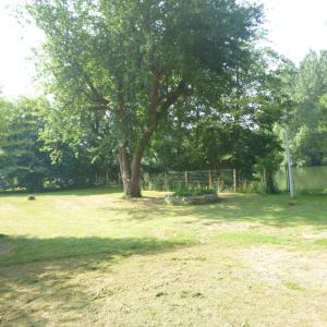 un albero in mezzo a un prato di maison en bord de Sarthe a Juigné-sur-Sarthe