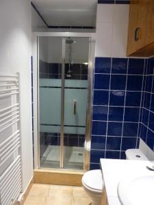 een badkamer met douche en toilet bij La grange in Saint-Germain-de-Lusignan