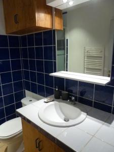 een badkamer met een wastafel en een toilet bij La grange in Saint-Germain-de-Lusignan