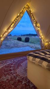 Příroda nedaleko luxury tent