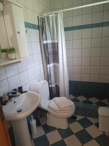 a bathroom with a toilet and a sink and a shower at Verde e Mare apartments-Marathias in Marathiás +20 photos