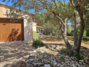 En have udenfor Casa Parmentile