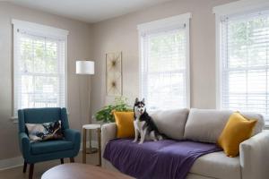 Et opholdsområde på The Landing on 3rd - Walk to UF & Downtown, Pets