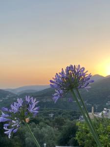 Φωτογραφία από το άλμπουμ του Vito's Parga View Apartments στην Πάργα