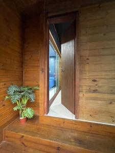 una stanza di legno con una finestra e una pianta in vaso di Suíte com Hidro no centro a Balneário Camboriú