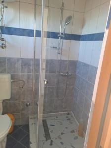 a bathroom with a shower and a toilet at Studio Apartments Trio in Šmrika +2 photos