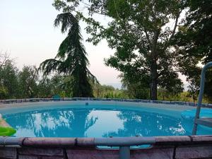 a large swimming pool with a tree in the background at Suite Monamea in Pian di Scò +13 photos