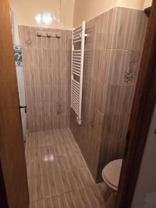 une salle de bain avec toilettes et douche dans l'établissement Appartement à la montagne, à Saint Firmin