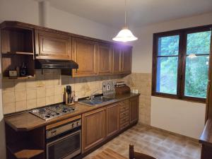 une cuisine avec des armoires en bois, un évier et une cuisinière dans l'établissement Appartement à la montagne, à Saint Firmin 11 autres photos