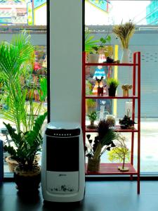 a computer monitor sitting in a room with potted plants at We Inn in Bangkok