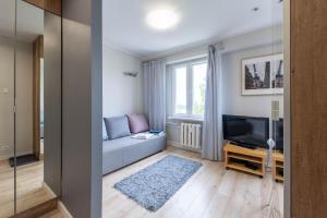 赫扎努夫New modern flat on the way from Kraków to Oświęcim的带沙发和电视的客厅