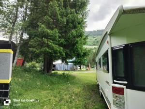 an rv parked in the grass next to a tree at White Pearl in Sent