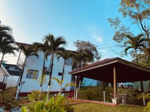 a house with palm trees in front of it at Villas manuel antonio in Quepos