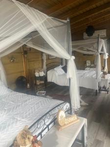 Postel nebo postele na pokoji v ubytování Pampagrass View