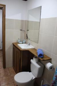 a bathroom with a toilet and a sink and a mirror at Brisas del Caribe 3 in Tapantí +66 photos