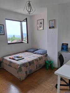 安锡Pringy - Chambre L的一间带床和窗户的小卧室