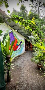 Zahrada ubytování Cabinas Agamy