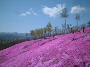 a pink hill with people walking on it at Hotel Okhotsk Palace - Vacation STAY 24135v in Mombetsu