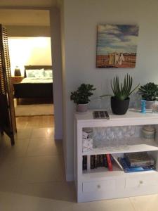 a living room with a white shelf with potted plants at The cashmere bothy in Christchurch