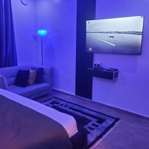 TV a/nebo společenská místnost v ubytování Weltons Apartments