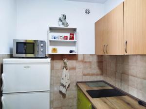 a kitchen with a white refrigerator and a microwave at Novomesto in Igalo