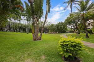 a park with palm trees and a path at MBQ110S Tropical Serenity - Charming Maui Banyan Studio in Wailea