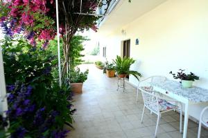 Zahrada ubytování Luka's House - ZF Hvar
