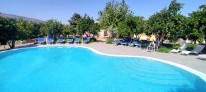 a large swimming pool with blue chairs and trees at aranceto dell'Etna in Mascali