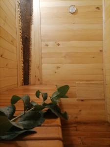 a plant sitting on a table in a sauna at Cabaña en la Calera BersaNina in La Calera