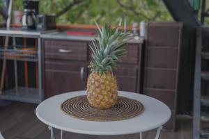 Foto sihtkohas Tamarindo asuva majutusasutuse Cocolhu Treehouse & Ocean View galeriist