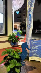 una statua di un uccello blu accanto a una pianta in vaso di The Wish Houses a Golem Altre 39 foto