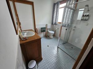 a bathroom with a shower and a sink and a toilet at Cliff Cottage - Noraville in Norah Head