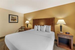 Postel nebo postele na pokoji v ubytování Best Western Plus Atrium Inn