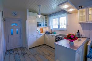 Kuchyň nebo kuchyňský kout v ubytování Balaton Row House