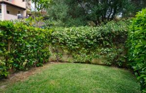 Κήπος έξω από το Cozy Apartment In Porto San Paolo +11 φωτογραφίες