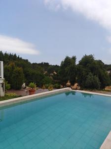 a large blue swimming pool with trees in the background at Casinhas Vale de Mouro in Melides