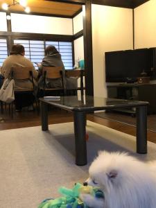 Televisyen dan/atau pusat hiburan di ホスト滞在型民泊子犬と画家みんなの家