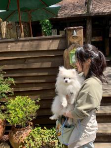 Haiwan peliharaan atau haiwan-haiwan peliharaan yang menginap dengan tetamu di ホスト滞在型民泊子犬と画家みんなの家