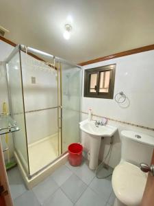 a bathroom with a shower and a toilet and a sink at Guest House in Agoo La Union in Agoo