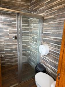 a bathroom with a toilet and a shower at Departamentos San Francisco in San Cristóbal de Las Casas +54 photos