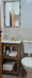 a bathroom with a sink and a toilet and a mirror at La NIÑA 6 in Jesús María +11 photos