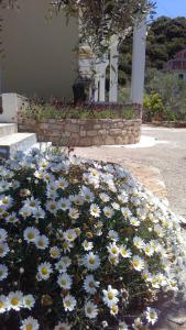 Zahrada ubytování Guest House Solive
