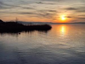 Φωτογραφία από το άλμπουμ του Lakeside Bungalow in Hallschlag, cleaning included σε Hallschlag