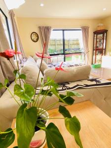 un salon avec un canapé et une plante dans l'établissement Entire house in West Auckland, à Auckland