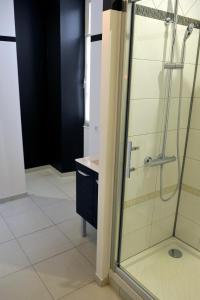 een badkamer met een douche en een wastafel bij Le Lion d'Or in Ingrandes