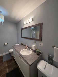 a bathroom with a sink and a toilet and a mirror at Private walkout basement apt in Lower Sackville +12 photos