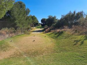 Golf pri apartmáne alebo okolí